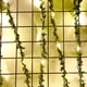 thumbnail image 5 of Cadena de lámpara Irfora 2 metros hojas de seda enredadera falsa hoja verde hiedra vid 20 luces LED de cadena para el hogar boda fiesta colgante guirnalda flor artificial Irfora Cadena de lámpara, 5 of 7