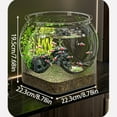 thumbnail image 3 of Desktop Aquarium for Fish Turtle，Round Fish Bowl Clear Aquarium Fish Tank，Enhance Viewing Experience Decorative Fish Bowl，Small Desktop Aquariums for Fish & Turtles, 3 of 9