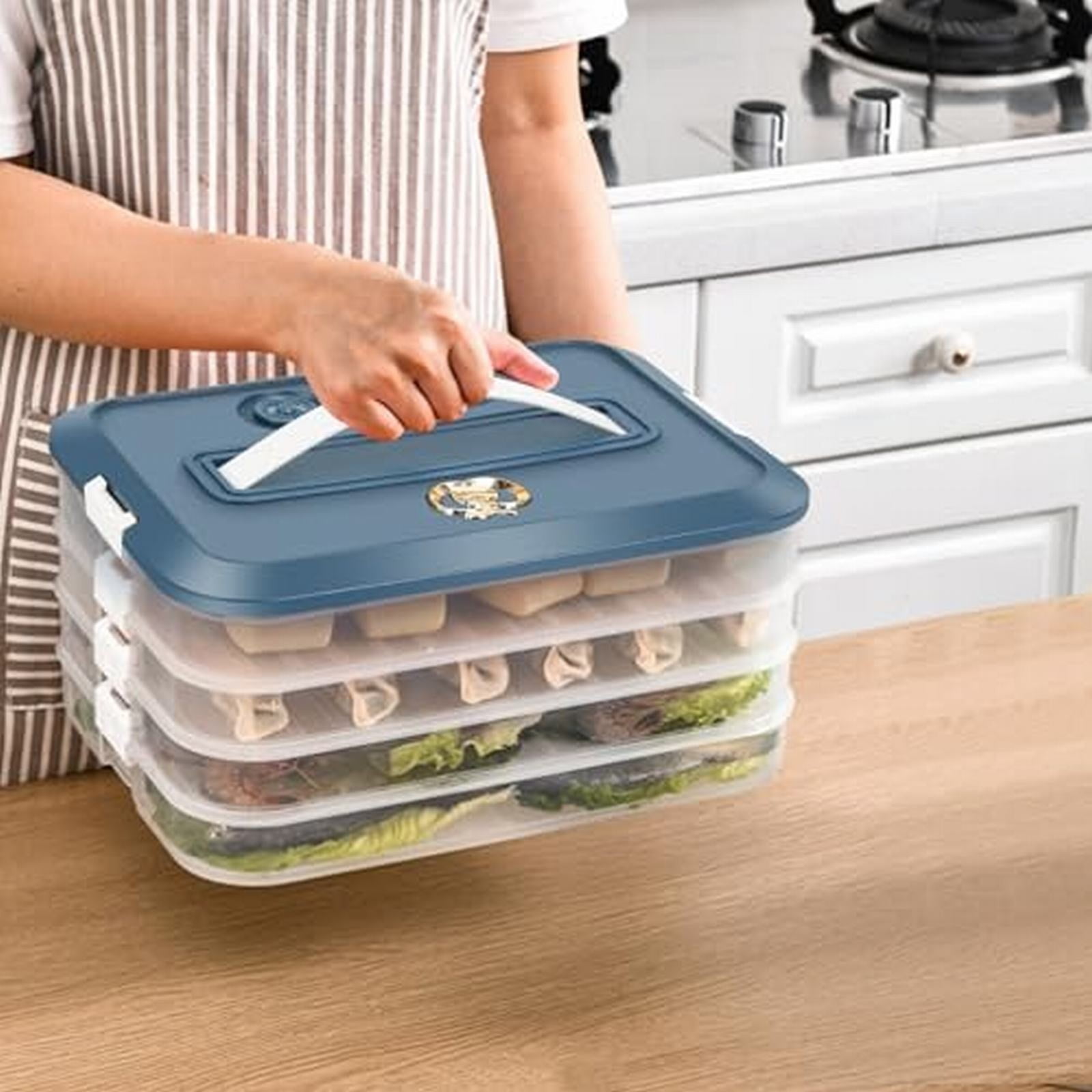 PP Dumpling Box Large Airtight Containers Veggie Tray with Lid Clear Container with Lid Egg Tray for Refrigerator Veggie Containers for Refrigerator Rice Storage Box Egg Case
