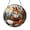 Acrylic 3.5 Inch, variant on Nature Forest Animals Faux Stained Glass Window Decor2101