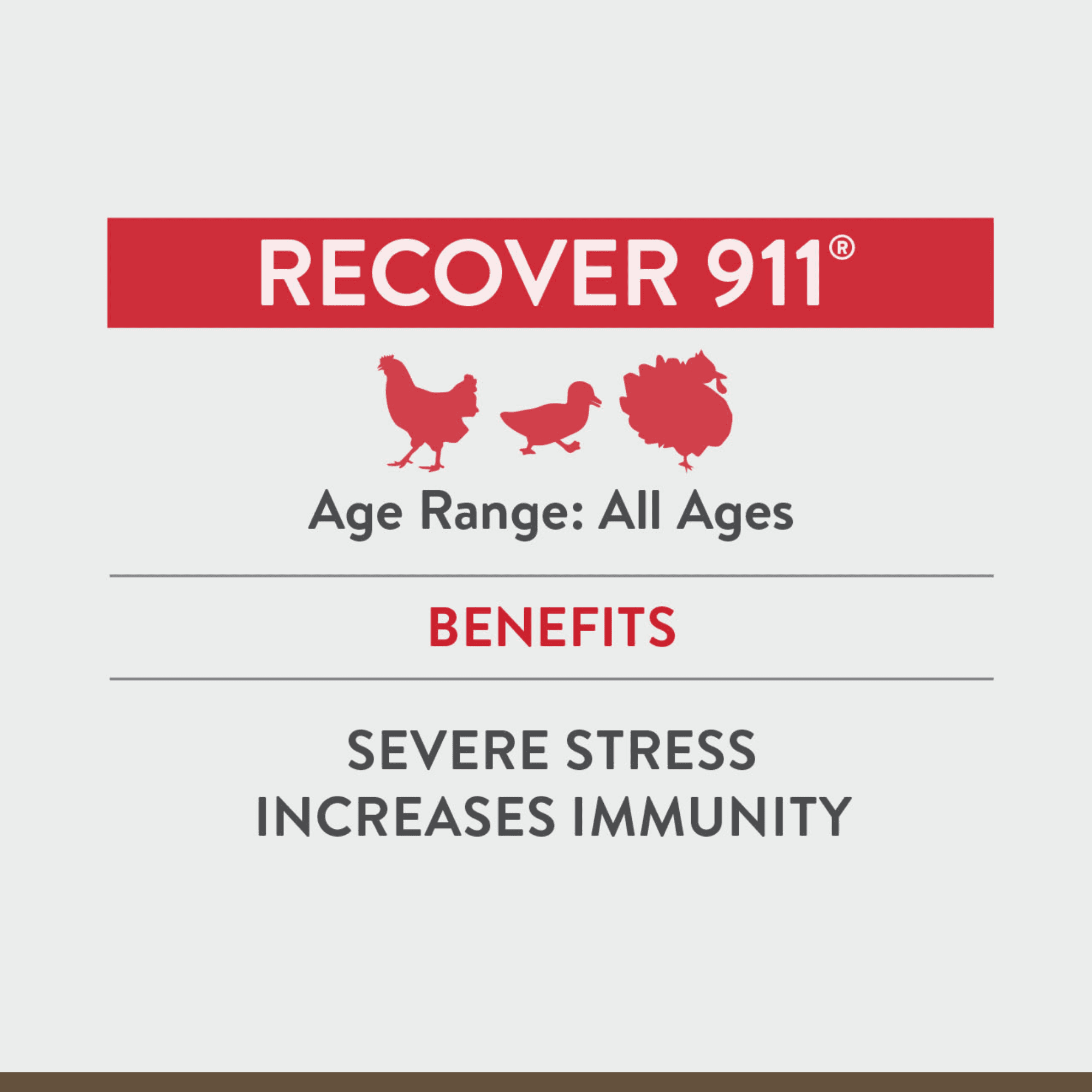 FlockLeader Recover 911 Poultry Supplement for Chickens, 2.5 Ounce