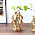 thumbnail image 4 of Decoración hogareña Gwong Terrarium siembra de tubo de ensayo hidropónico Botella de madera Vintage Marco de madera transparente Tubo de ensayo Jarrón para sala de estar Gwong 21079353, 4 of 6