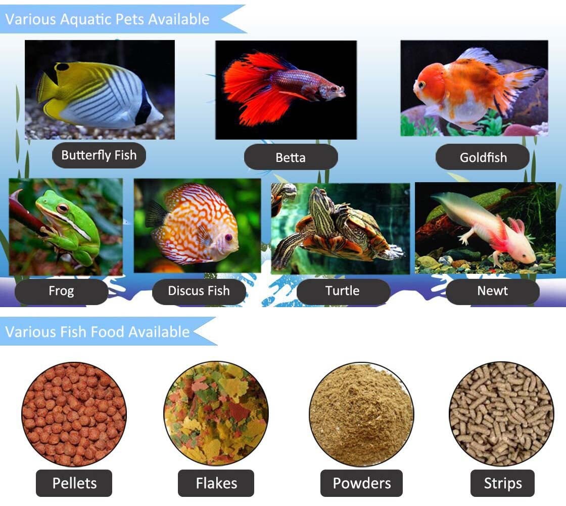 fish feeder aquarium