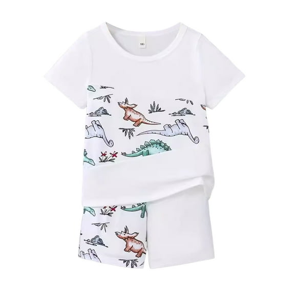 YUEHUA Outfit for Boys Size 8 Boys Short Sleeve Cartoon Dinosaur Prints T Shirt Tops Shorts Child Kids Outfits,Size 9-10 Years