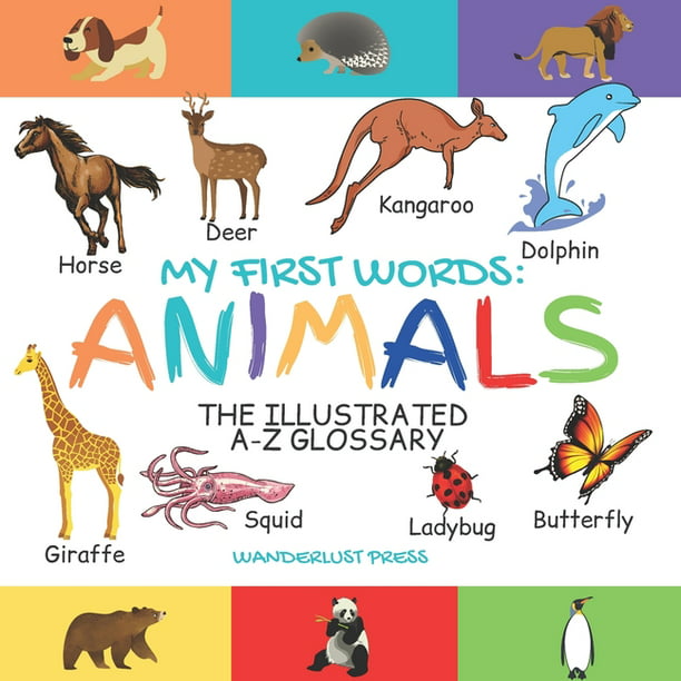 My First Words : Animals: The Illustrated A-Z Glossary Of The Animal  Kingdom For Preschoolers (Paperback) 