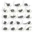 prehistoric-animal-dinosaur-model-toothed-tiger-toothed-and-gray