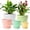 Multicolor, variant on 5-Pack Plastic Plant Pots with Drainage Holes and Saucer Trays, 7.5/6.7/6/5/4.1 Inch Flower Pots, Multicolor Planters for Indoor & Outdoor Plants