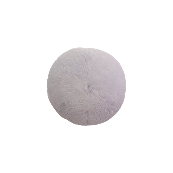 Bloomingville Resin Coral Wall Décor, White