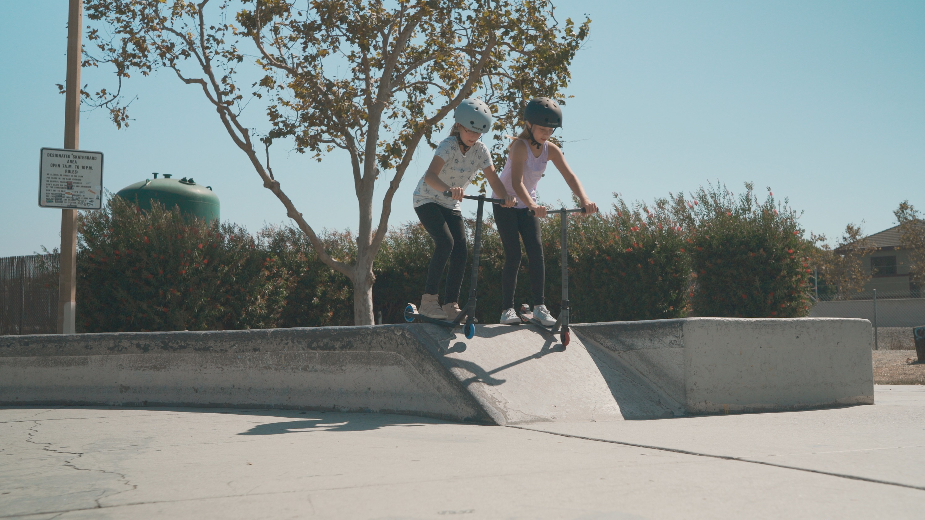 Pulse Performance Products Burner Pro Freestyle Scooter