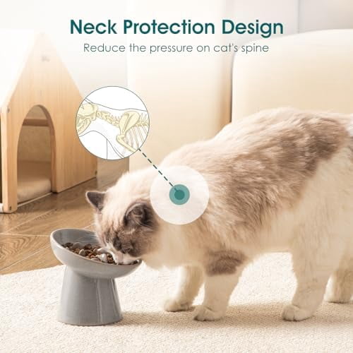 Ceramic Slow Feeder Cat Bowl, 6.25 Inch Elevated Cat Slow Feeder Bowl, Anti Vomiting for Dry and Wet Food, Grey