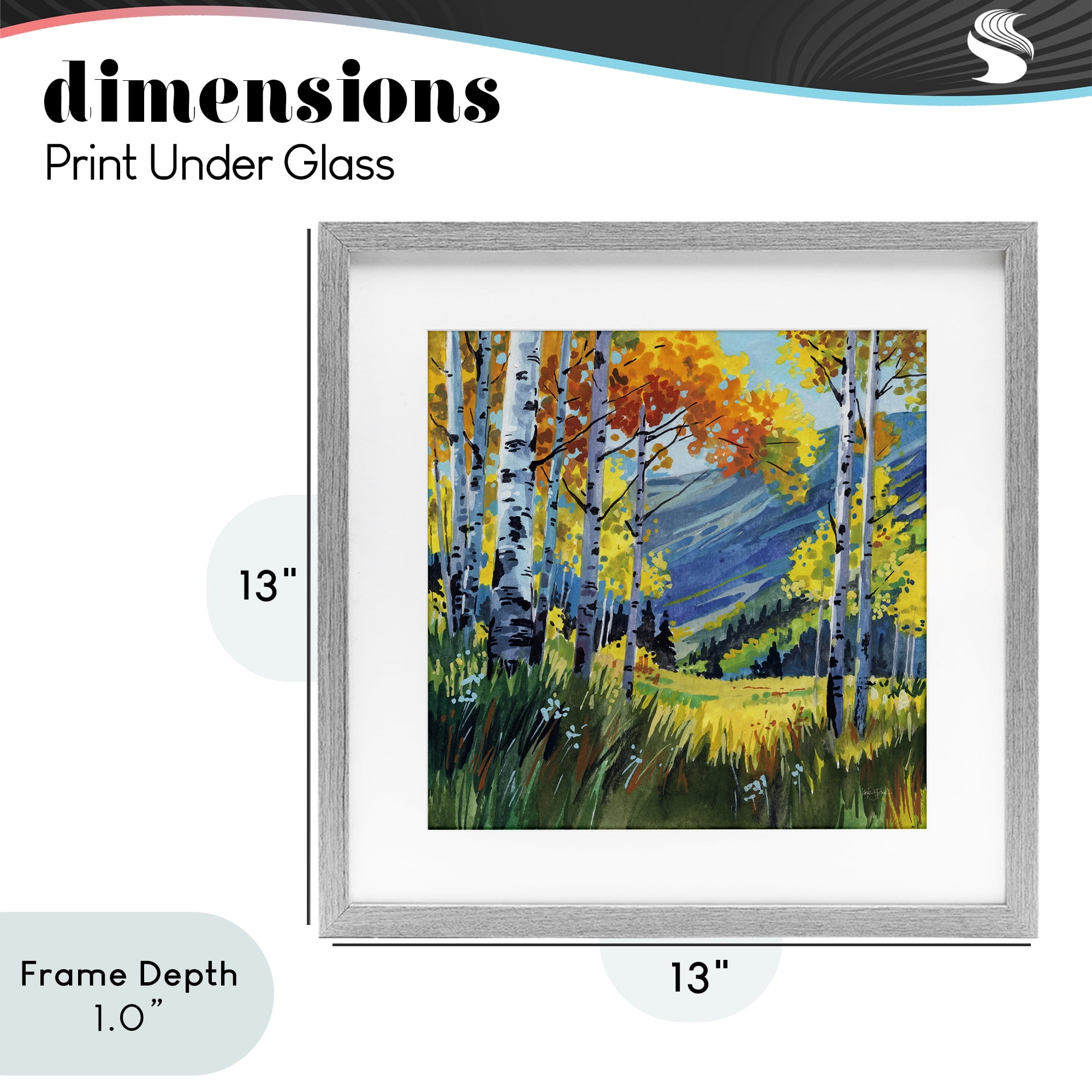 Stupell Industries Autumn Golden Birch Grove Gray Framed Print Under Glass, design by Kate Jarvik Birch