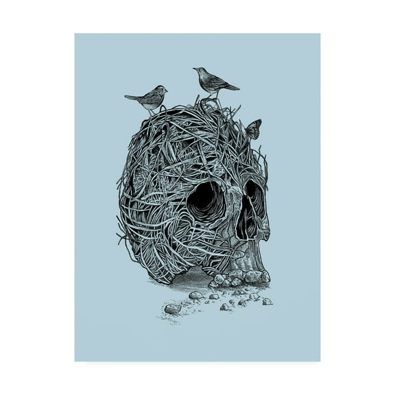 Trademark Fine Art 'Skull Nest Binds' Canvas Art by Rachel Caldwel