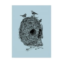 Trademark Fine Art 'Skull Nest Binds' Canvas Art by Rachel Caldwel