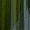 Green, variant on Better Homes & Gardens 21 oz Fluted Tritan Sipper, Brown