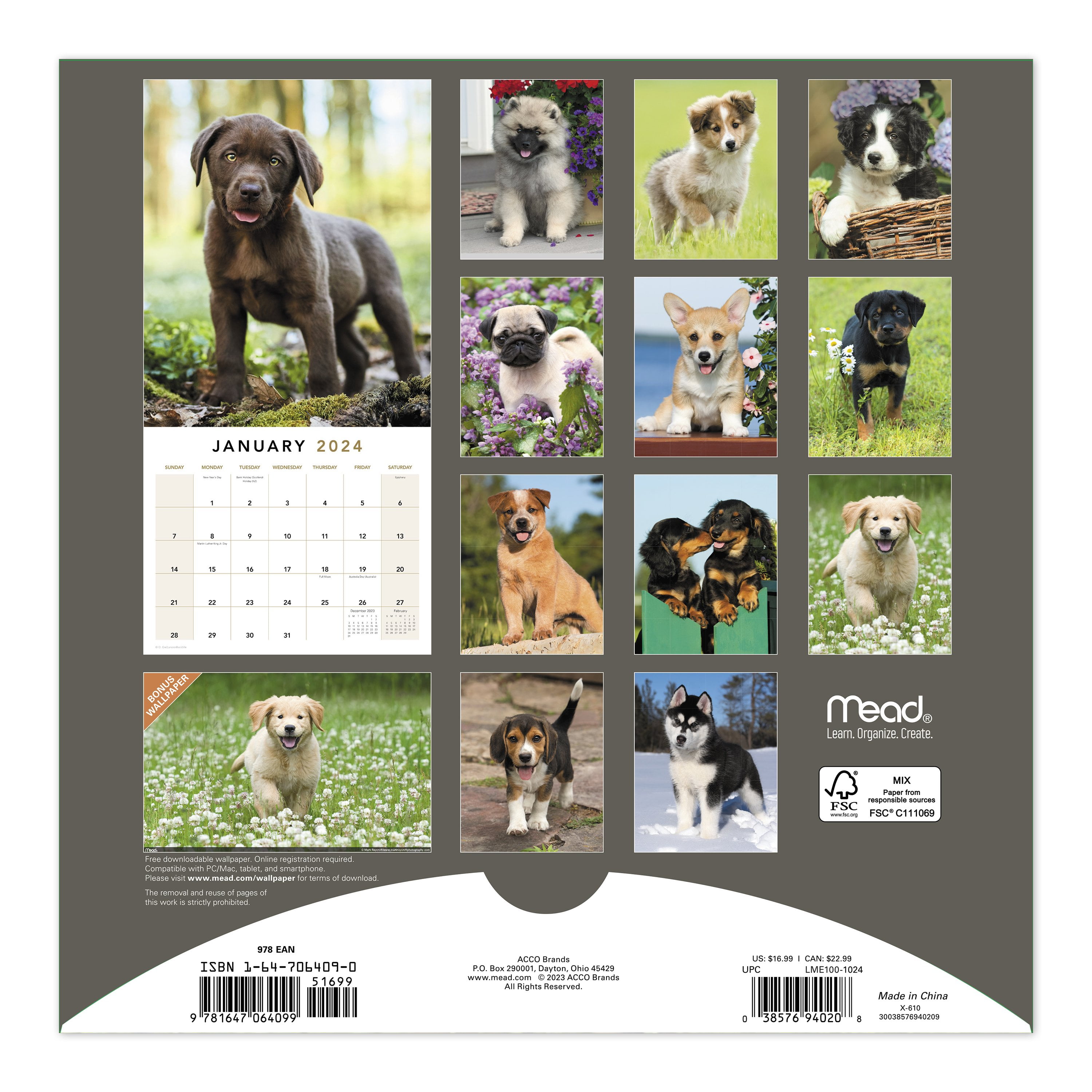 Puppies 2024 Monthly Wall Calendar 12 x 12 - Wall Calendars