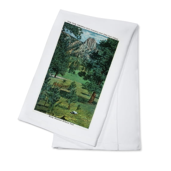 Rocky Mt. National Park, Colorado, View of the Twin Owls Rock Formation near Estes Park (100% Cotton Tea Towel, Decorative Hand Towel, Kitchen and Home)