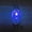 Blue, variant on EFINNY LED Light Fish Bait Lure Stylish Fish Attractors Underwater Deep Drop Fishing Flashing Lamp Lure Light