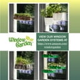 thumbnail image 7 of Window Garden Double Veg Ledge Shelf Organic Wheatgrass Kit Bundle (5), 7 of 7