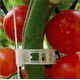 thumbnail image 3 of 150 pinzas de jardín para soporte de plantas, pinzas de enrejado de tomate para tomate de verduras de vid para crecer en posición vertical y hacer que las plantas sean más saludables oso de fresa Hogar, 3 of 4