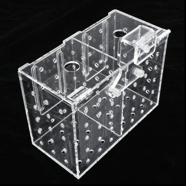 Spawn Box Aquarium spawning box fish breeding tank incubator incubator box Double ...