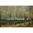 thumbnail image 2 of van Gogh, Vincent 14x11 Gold Ornate Wood Framed with Double Matting Museum Art Print Titled - Lane with Poplars near Nuenen, 2 of 4