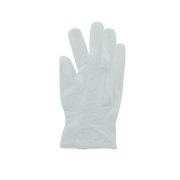 Box of Vinyl Gloves 100 Count Large