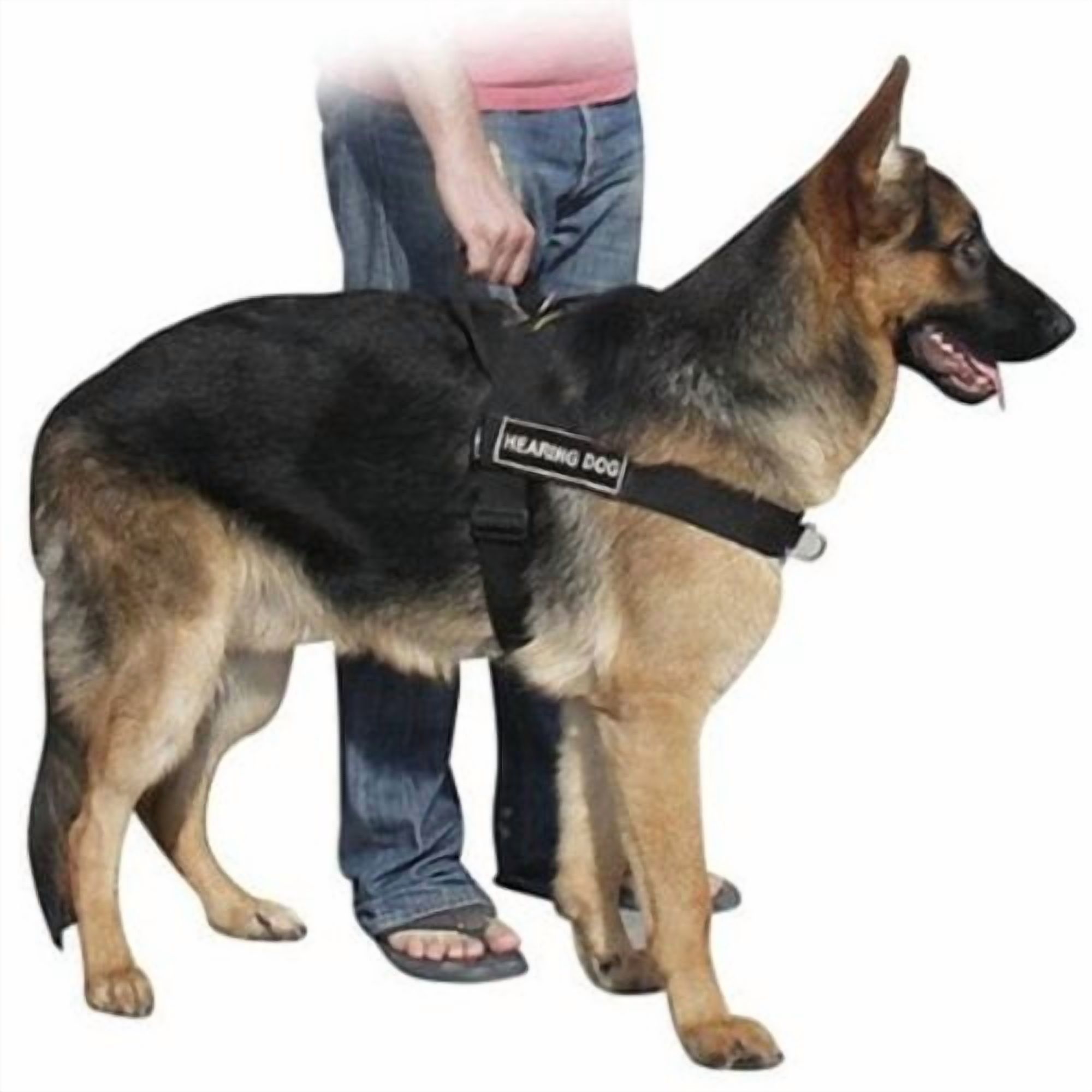 DT Universal No Pull Dog Harness, Hearing Dog, Black, X-Large, Fits Girth Size: 36-Inch to 47-Inch
