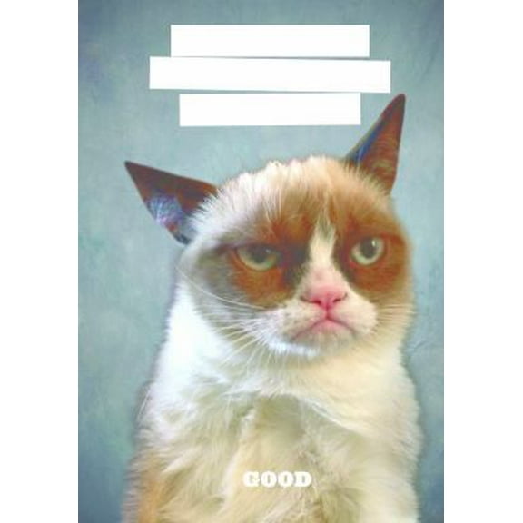 Pre-Owned Grumpy Cat Journal (Paperback) 1452133220 9781452133225