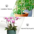 1 Set of Plant Trellis Vine Climb Trellis Plant Support Outdoor Plants
