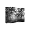 thumbnail image 2 of Beata Czyzowska Young 'Foggy Mood 1' Canvas Art, 2 of 3