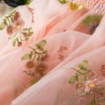 thumbnail image 2 of FINALGANG Girls Toddler Butterfly Wings Embellished Floral Embroidered Tulle Dress A Line Fairy Party Dress For Casual Daily Wear Cozy Dress, 2 of 9