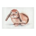 thumbnail image 2 of MKHERT Cute Brown Rabbit Doormat Rug Home Decor Floor Mat Bath Mat 23.6x15.7 inch, 2 of 3