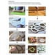 thumbnail image 4 of Whataatahia Moldes y Formas de Concreto, Walk Path Maker Pasarela Moldeo de Piedra Pavimento Pavimento Escalón Piedra Pavimentadora Exterior Molde de Cemento para Patio, Césped y Jardín, 4 of 4