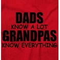thumbnail image 2 of Dad Knows A lot Grandpa Everything Men's Big & Tall Graphic Hoodie Brisco Brands 5X, 2 of 4