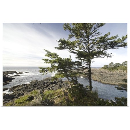 Great BIG Canvas | Rolled Roddy Scheer Poster Print entitled Wild Pacific Trail, Pacific Rim National Park Reserve, Ucluelet, BC, (Best Trails In Bc)