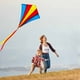 thumbnail image 5 of Cometa voladora fácil, grande y colorida, ideal para actividades al aire libre con viento fuerte o suave., 5 of 7