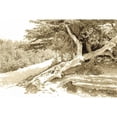 thumbnail image 3 of Hausenflock, Alan 18x13 Black Modern Framed Museum Art Print Titled - Carmel Beach I, 3 of 5