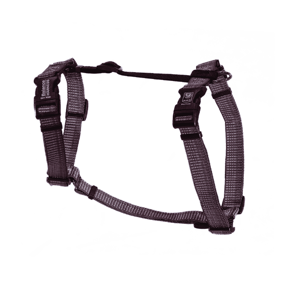 Blue-9 Reflective Buckle-Neck Balance Harness, Fully Customizable Fit No-Pull Harness with 3M Reflective Stitching, Ideal for Dog Training and Obedience, Made in The USA, Grey, XS