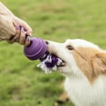 thumbnail image 2 of Jouets à mâcher en caoutchouc Vibrant Life pour chiens, 2 of 8