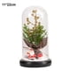 thumbnail image 2 of Cúpula de cristal Plantas navideñas Decoraciones navideñas Cúpula de cristal Rama de pino navideño con luces, 2 of 5