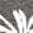 Dark Gray, variant on Women's Live Simple Palm Tree Graphic V-Neck Short Sleeve T-Shirt Casual Beach Tee