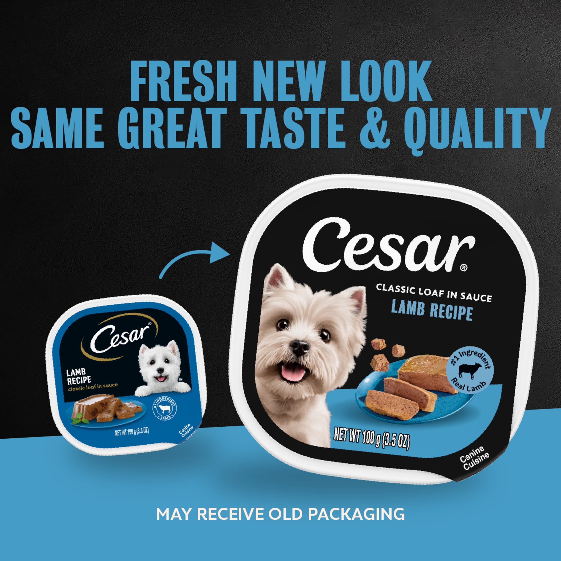 (24 pack) Cesar Classic Loaf in Sauce Wet Dog Food Lamb Flavor, 3.5 oz. Easy Peel Trays, 24 Count