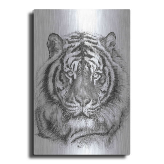 Luxe Metal Art 'Sparkle' by Barbara Keith, Metal Wall Art, 24"x36"