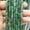 Epidote, variant on HOOUN 13x4mm Natural GemStone Rectangle Tube Loose Beads for Jewelry Making DIY 15.5''-Red Stone-4x13mm About 28PCS