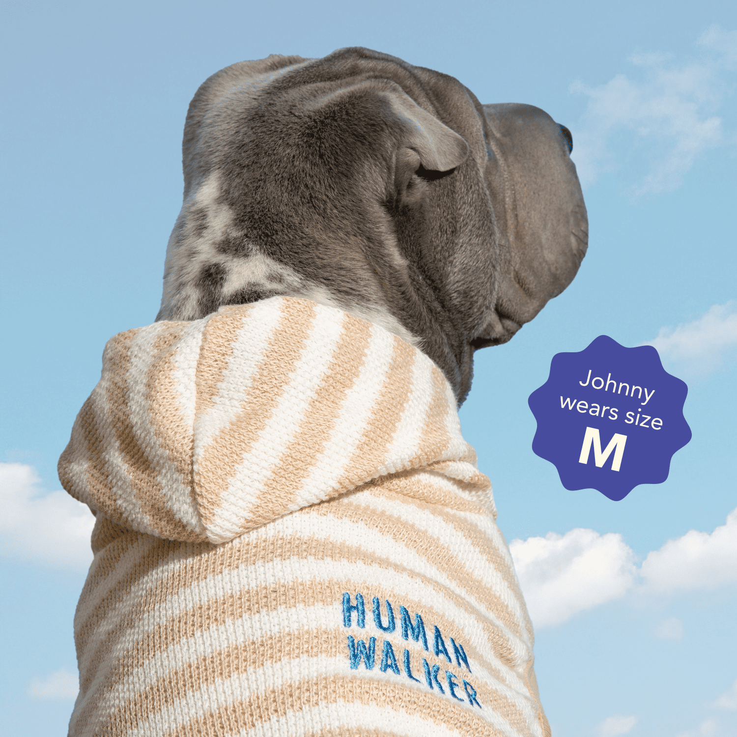 Oodles Tan Human Walker Striped Spring Bubble Hem Dog Hoodie, Small