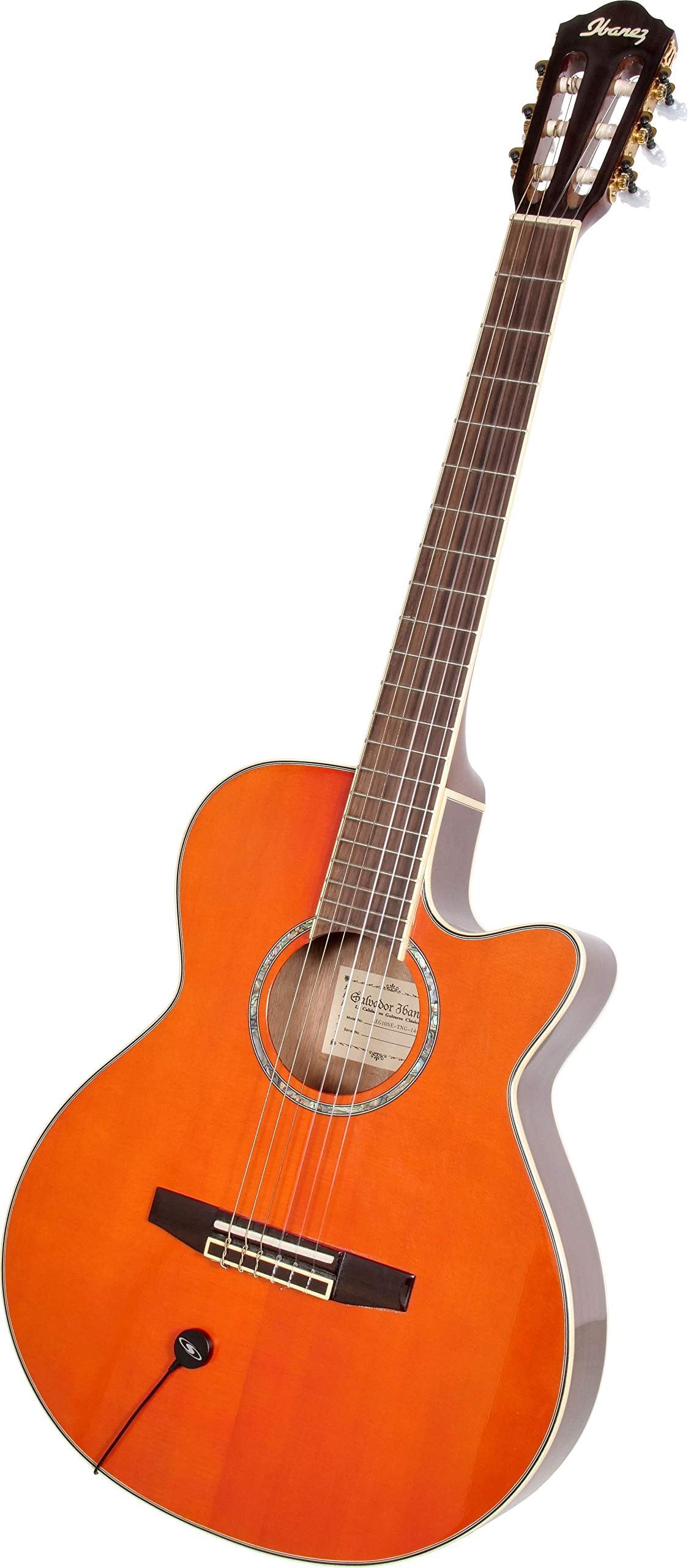 Trek acoustic transducer pickup delivers quality wireless audio to numerous on the go applications