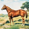 thumbnail image 4 of Breyer Traditional Series American Quarter Horse Action Figure (8.75"), 4 of 6