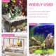 thumbnail image 3 of AURARMLET 20Ud Falsas Para Accesorios Para Acuarios De Peces Betta, 3 of 5