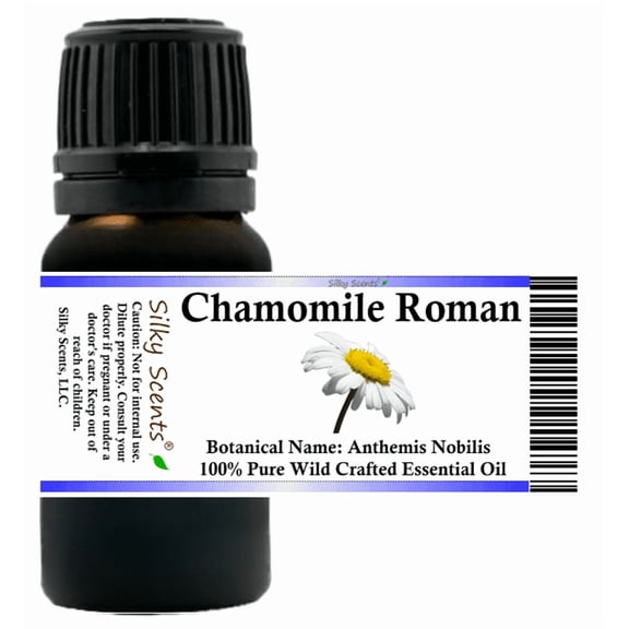 Chamomile Roman Wild Crafted Essential Oil 5 ml (1/6 fl oz) - 100% Pure and Natural by Silky Scents