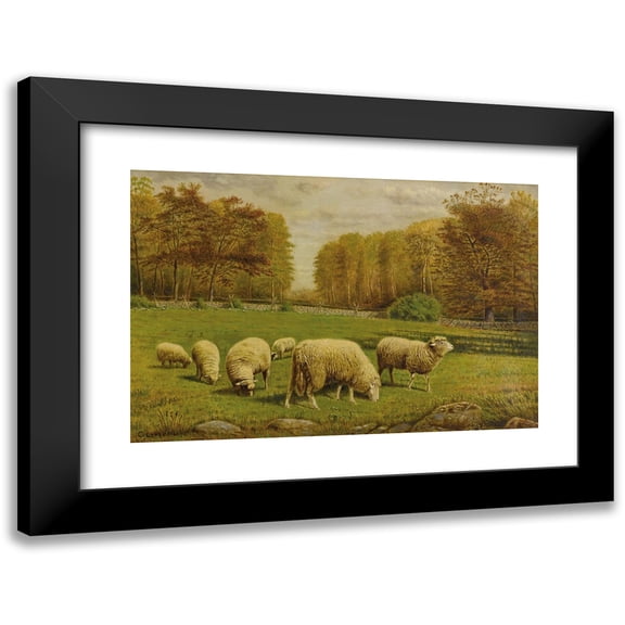 Clinton Loveridge 14x11 Black Modern Framed Museum Art Print Titled - Grazing Sheep (circa 1875)